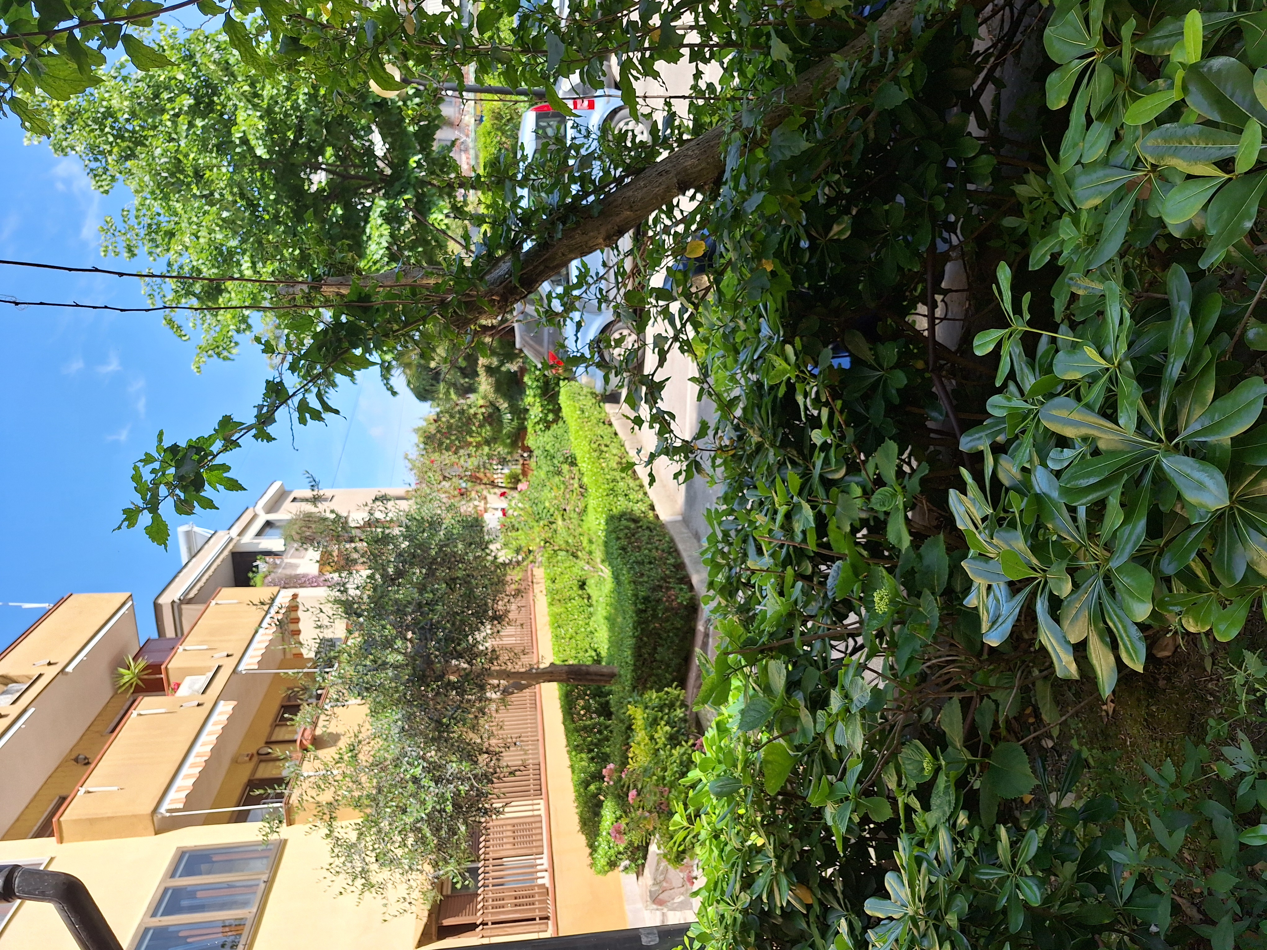 Giardini